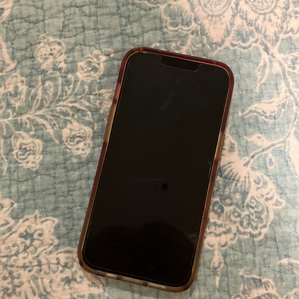 iPhone 13 pro - blue